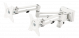 Föregående