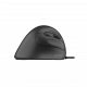 Föregående