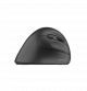 Föregående