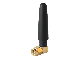 Föregående