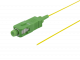 Föregående