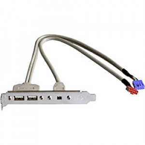 Expansionsslot bracket, USB x2 + Firewire 400 4pin