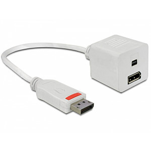 DisplayPort - DisplayPort/Mini DisplayPort adapter