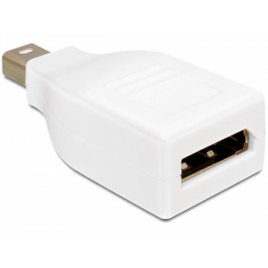 Mini DisplayPort - DisplayPort adapter