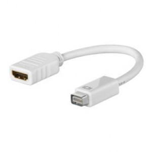 HDMI - mini DVI adapter (ho-ha)