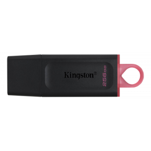USB Minne - 256GB USB 3.2 - Kingston DT Exodia