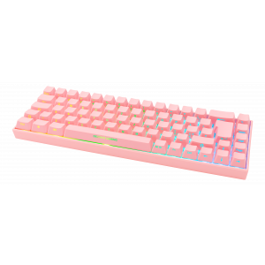 Trådlöst Tangentbord WK95, 65%, RGB, Nordisk GAM-100B-P