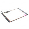 iPad Air display skärm net2world