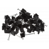 , , 303781