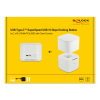 Delock M.2 Docking Station for 2 x M.2 NVMe PCIe SSD with Clone 63331
