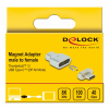 Delock Thunderbolt™ 3 / USB Type-C™ (DP Alt Mode) 8K 30 Hz Magnetic Ad 66433