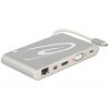 DeLock 87298 USB Type-C 3.1 dockningsstation 4K, silvergrå