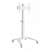 DELTACO Office Display Cart, 37"-70", 70kg, white ARM-0452