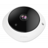 Vigilance 5-Megapixel Panoramic Fisheye Camera DCS-4625