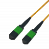 , , MPO12B-22