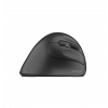 , , MS-815