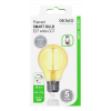 DELTACO SMART HOME FILAMENT LED-lampa, E27, WiFI, 5.5W, 1800K-6500K SH-LFE27A60