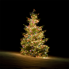 DELTACO SMART HOME WiFi Tree light,270L,10 strings,RGB,adapte SH-LRGB2MT