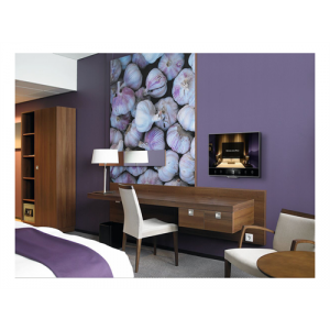PFW 4200 Wall Mount 10-43" 7042000