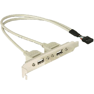 Delock Slot Bracket 2x USB 2.0 type A female