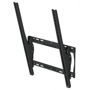 Outdoor Universal Tilting Mount - Portrait EST655P