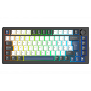 Möt DK480 – ett premium mekaniskt gamingtangentbord i 75%-format, utvecklat för gamers, kreatörer och tangentbordsentusiaster som ställer höga krav på både prestanda och komfort.Med en 5-lagers gasket-konstruktion erbjuder DK480 en mjukare och mer förfina
