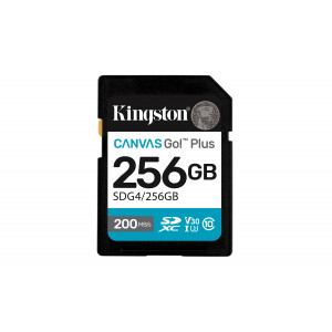 for DSLRs, mirrorless cameras and 4K video SDG4/256GB