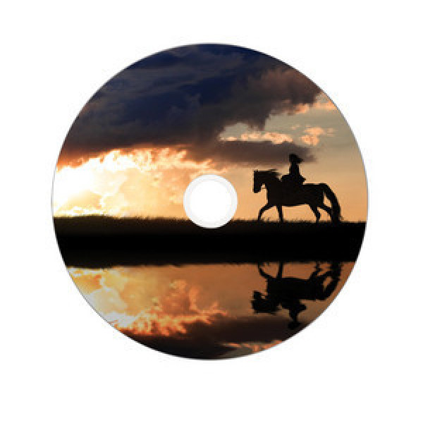 Verbatim 43703 tomma dvd:er 8,5 GB DVD-R 50 styck