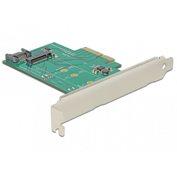 DeLOCK 89381 nätverkskort/adapters Intern M.2,SATA