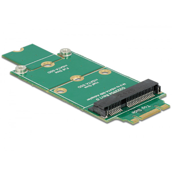 DeLOCK 62591 Intern M.2 nätverkskort/adapters