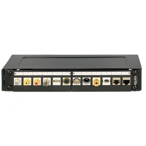 DeLOCK 43303 Väggmonterad rack 1U Svart rack