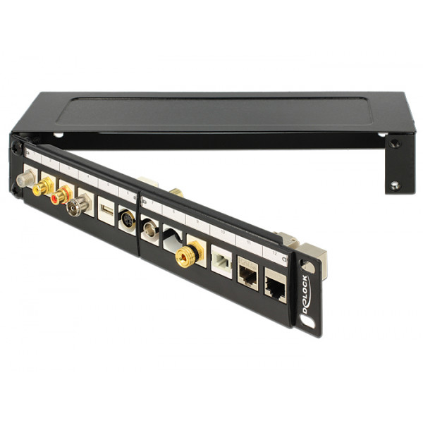 DeLOCK 43303 Väggmonterad rack 1U Svart rack