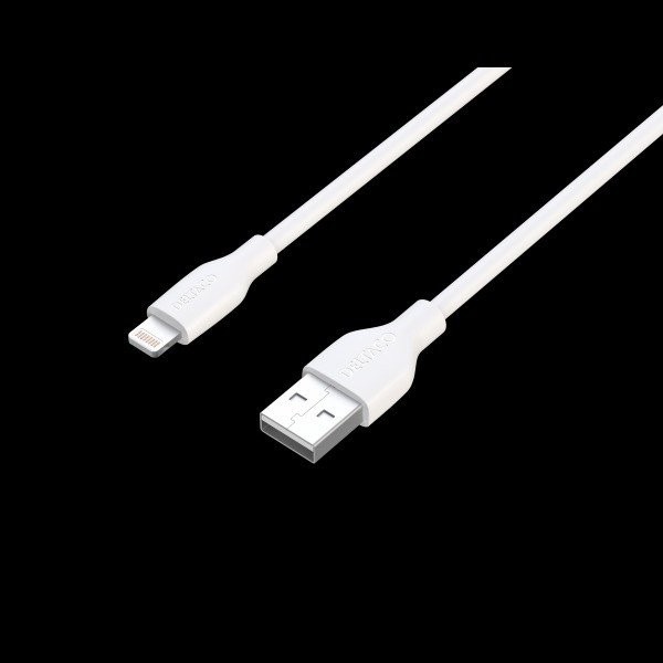 Lightning - Lightgning + Lightning Adapter silver IPLH-501S