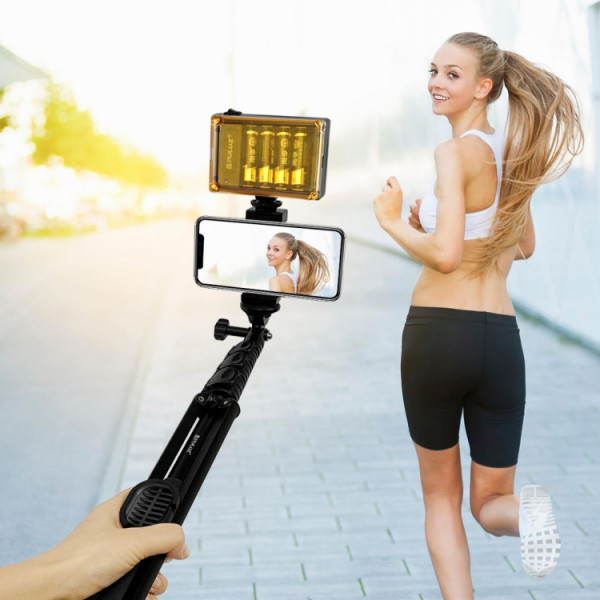 selfie pinne