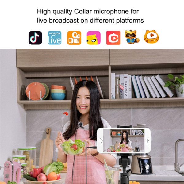 Smartphone Mikrofon