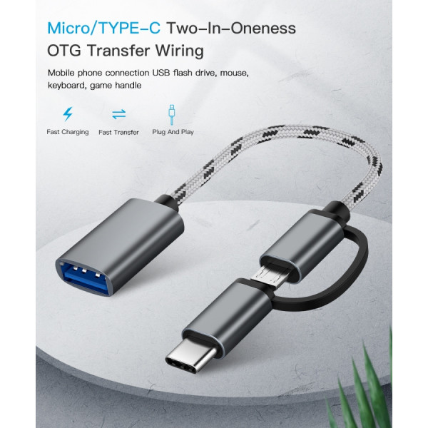USB C OTG