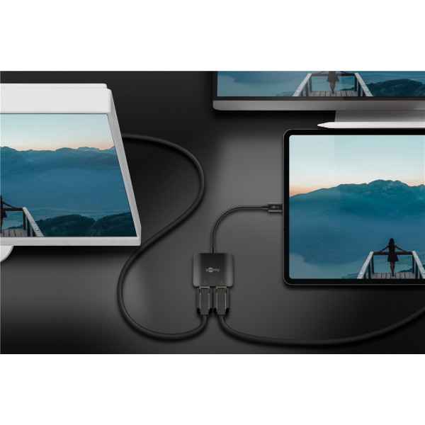 USB-C - Displayport x 2 adapter hane - hona 60171