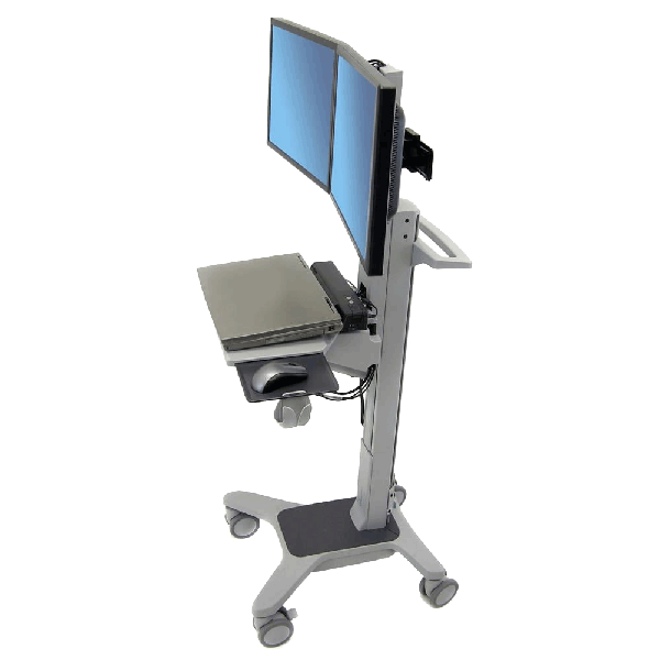 Neo-Flex® Dual WideView WorkSpace 24-194-055