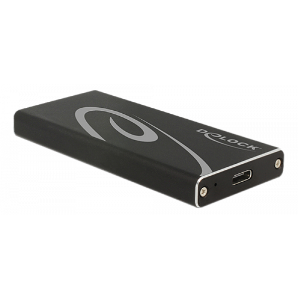 Delock External Enclosure M.2 SSD 42 mm > SuperSpeed USB 10 Gbps 42572
