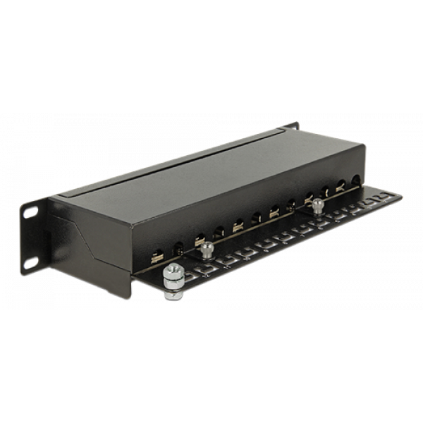Delock 10" Patch Panel med 12 Portar Cat.6A svart 43310