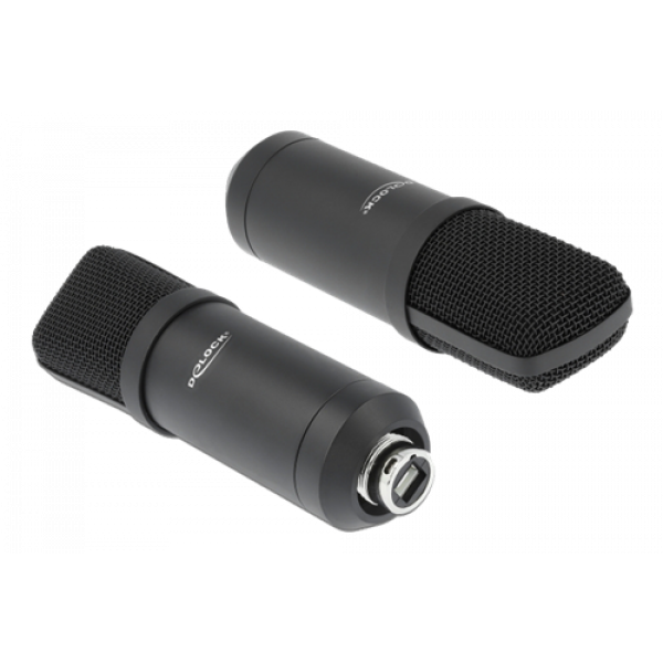 Delock Professional USB Condenser Microphone Set for Podcasting/Gaming 66300
