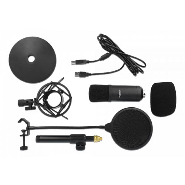 Delock Professional USB Condenser Microphone Set for Podcasting/Gaming 66300