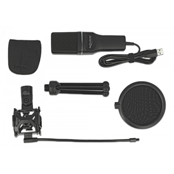 Delock USB Condenser Microphone Set - for Podcasting, Gaming and Vocal 66331