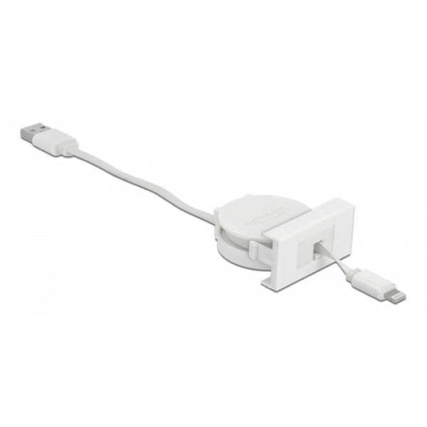 Delock Easy 45 Module USB 2.0 Retractable Cable USB Type-A to 8 Pin Li 81331