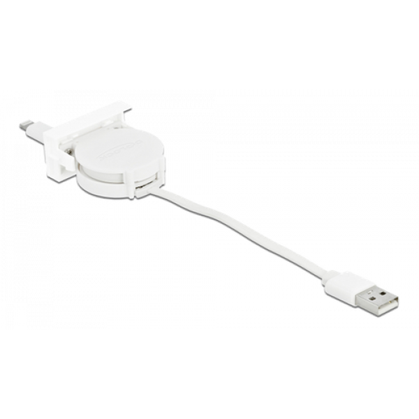 Delock Easy 45 Module USB 2.0 Retractable Cable USB Type-A to 8 Pin Li 81331