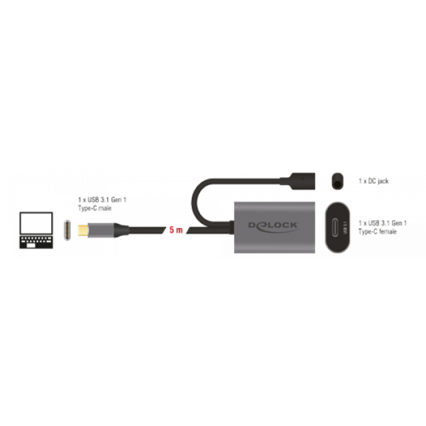 Delock Active USB 3.1 Gen 1 extension cable USB Type-C™ 5 m 85392
