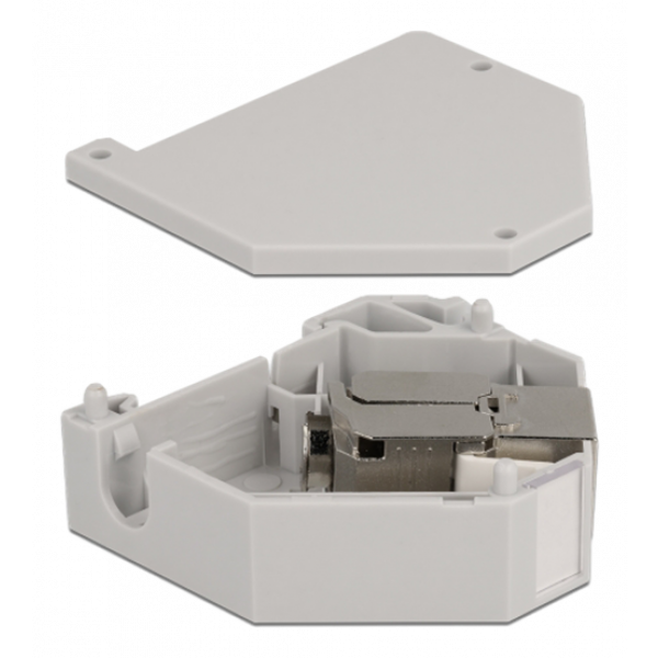 Delock DIN rail Adapter with Keystone Module RJ45 jack Cat.6A LSA 86014