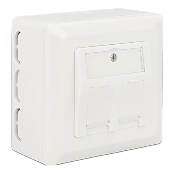 Delock Back Box for Keystone Wall Outlet 86128