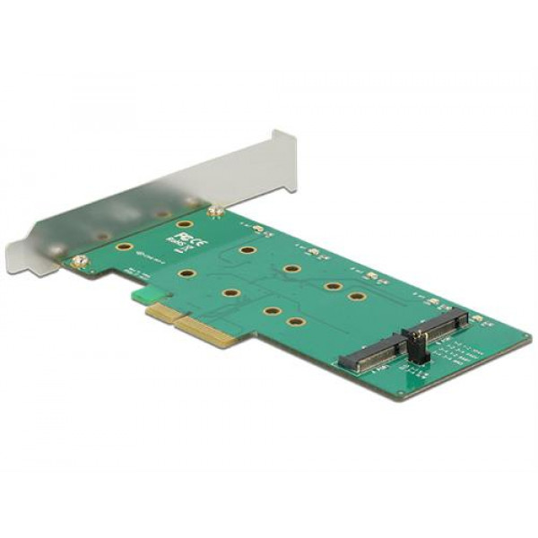 DeLock 89536 PCI Express Card till 2 x internal M.2 Key B med RAID 89536