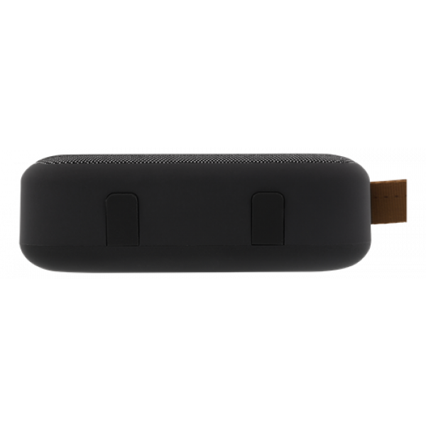 STREETZ Portable Bluetooth speaker, USB/TF/AUX/FM/handsfree, black CM770